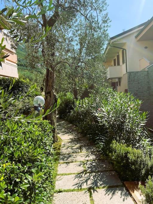 布雷佐内加尔达Ulivi Beth'S House公寓 外观 照片